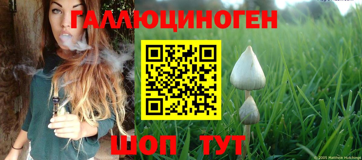 Галлюциногенные грибы Psilocybe  Вход с VPN  Урус-Мартан  Галлюциногенные грибы ЛСД 